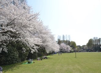 見沼グリーンセンター